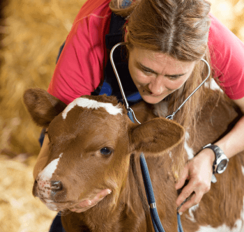 Animal health tech jobs canada